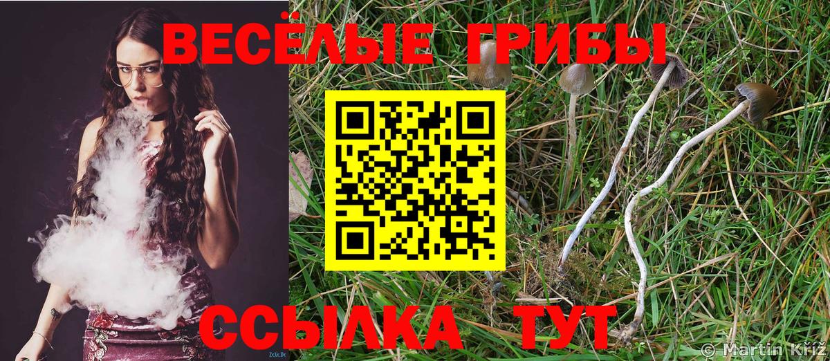 Псилоцибиновые грибы MAGIC MUSHROOMS Выборг
