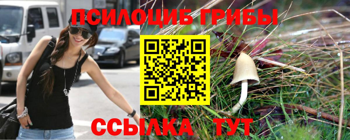 Выборг  Галлюциногенные грибы прущие грибы  Галлюциногенные грибы Psilocybe  Вход с VPN 
